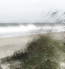 Picture for song 'Breeze of Passion' by artist 'Larry Ludwick'