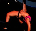 Picture for song 'Gibberish *Stripper Talk*' by artist 'LayerCake'