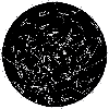 Picture for song 'shoot the moon (appollo mix)' by artist 'leedsquietman'