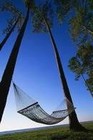Picture for song 'Hammock Time' by artist 'LeeVel'