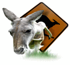 Picture for song 'Down Under Remix' by artist 'L-eis-t'