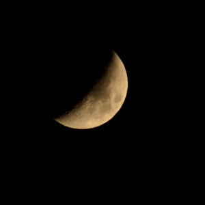 Picture for song 'FREE - Faul - Leon Beat' by artist 'Leon Beat'