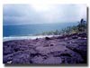 Picture for song 'Hilo Hana Kahi' by artist 'LikoLili'