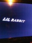 Picture for song 'MONEY IN MY MIND' by artist 'LIL RABBIT IN THE ONES AND TWOS'
