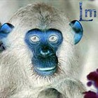 Picture for song 'Technological Visions (LmRmX)' by artist 'Liquid Monkey'