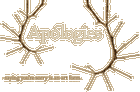 Picture for song 'Empty Apologies' by artist 'Loonie Bones'