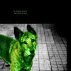 Picture for song 'El perro verde' by artist 'LOS RABIOSOS HOMBRES CORDERO'
