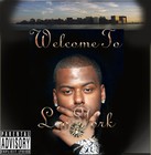 Picture for song 'welcome to Loo York City' by artist 'LotANerv'