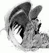 Picture for song 'i who have nothing' by artist 'Lo the God'