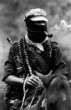 Picture for song 'Zapatista' by artist 'Louis Lingg and the Bombs'