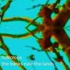 Picture for song 'the banks rule the lands' by artist 'ludicrous'