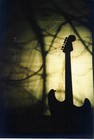 Picture for song '27 Alte Wunden' by artist 'Lupo De Mol'