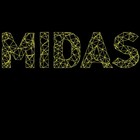 Picture for song 'S M O K E 1 O N E' by artist 'LXRD MIDAS'