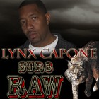 Picture for song 'born to be wild' by artist 'lynx capone'
