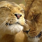 Picture for song 'Increasing Affection (Prod By Mace Beats)' by artist 'Mace Beats'