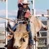 Picture for song 'Bull Rider' by artist 'Madalyn Reynolds'