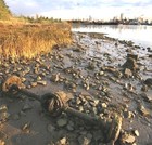 Picture for song 'Broken River' by artist 'ManAlive'