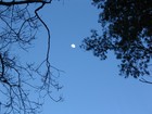 Picture for song 'Quarter Moon' by artist 'Marcel Laporte'