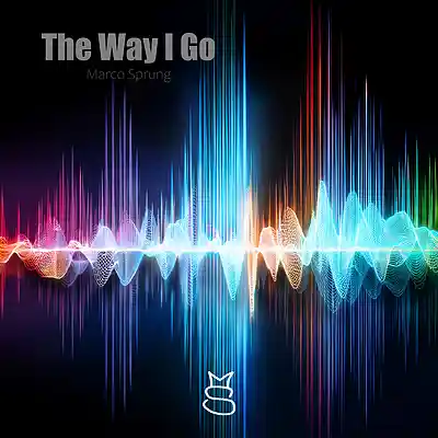 Picture for song 'The Way I Go' by artist 'Marco Sprung'