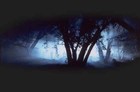 Picture for song 'Metal Horror' by artist 'Mariano Guerino'