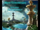 Picture for song 'Flying with Spaceghosts (M. Lochtenknapper)' by artist 'Mario Lochtenknapper'