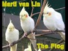 Picture for song 'The Flog' by artist 'Marti van Lin'