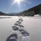 Picture for song '-NEW!!- "WINTER DAY" (FREE DOWNLOAD!)' by artist 'MASS GRAVE BEATS'