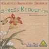 Picture for song 'Rapid Stress Reduction' by artist 'Master Your Mind'