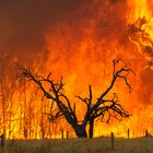 Picture for song 'Never' by artist 'MinorCognitiveImpairment'