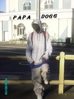 Picture for song 'resposta au mc morte (remix) feat mong block' by artist 'Mcpapadogg lTalentueur'