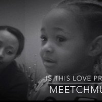 Picture for song 'Nothing Really Matters (Is this love)' by artist 'MeetchMusic'