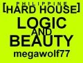 Picture for song 'LOGIC and BEAUTY' by artist 'megawolf77'