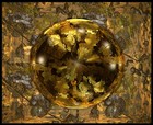 Picture for song 'Midi Guitar Classical 01' by artist 'Michael Thomas Huspek'
