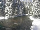 Picture for song 'THE REASON FOR THE SEASON (original)' by artist 'MichiSongs'