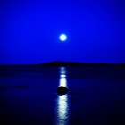 Picture for song 'In Search Of The Blue Nowhere' by artist 'Mike Garvey'