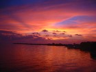 Picture for song '-Tropical Trap Mike 5.4.12.mp3' by artist 'Mike Montana'