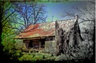 Picture for song 'TOMMY WALKER' by artist 'MIKE REYNOLDS BAND'