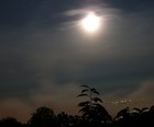 Picture for song 'nocturne' by artist 'MikeSch'