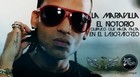 Picture for song 'Prraaa (ElectroFlow Reggaeton)' by artist 'Milenium Music'