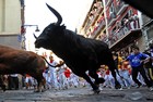 Picture for song '25 - Mimic - Run over the Bull' by artist 'Mimic'