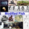 Picture for song 'Bangkok Girl' by artist 'Modified Fish'