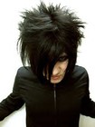 Picture for song 'Emily (Scattered Thoughts Mix)' by artist 'Mono Penguin'