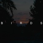 Picture for song 'Birds' by artist 'MonoTone Beats'