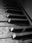 Picture for song 'Pain & Glory' by artist 'Mossy'