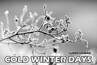 Picture for song 'Cold Winter Days' by artist 'Mr.Kooman'
