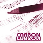 Picture for song 'Everything I Need' by artist 'MRSC 2005 Carbon Album'