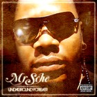 Picture for song 'Undaground Forever Sampler' by artist 'MrSche Immortal Lowlife'