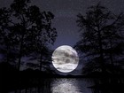 Picture for song 'Sharin The Night' by artist 'Mr Slick 4rm OC(714)'