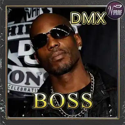 Picture for song 'DMX TYPE BEAT BOSS hard rap instrumental' by artist 'N1PROOF BEATS'