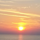 Picture for song ''Golden Dreams'/W Sheila Kaufman and Robert King' by artist 'Nadia Cripps'